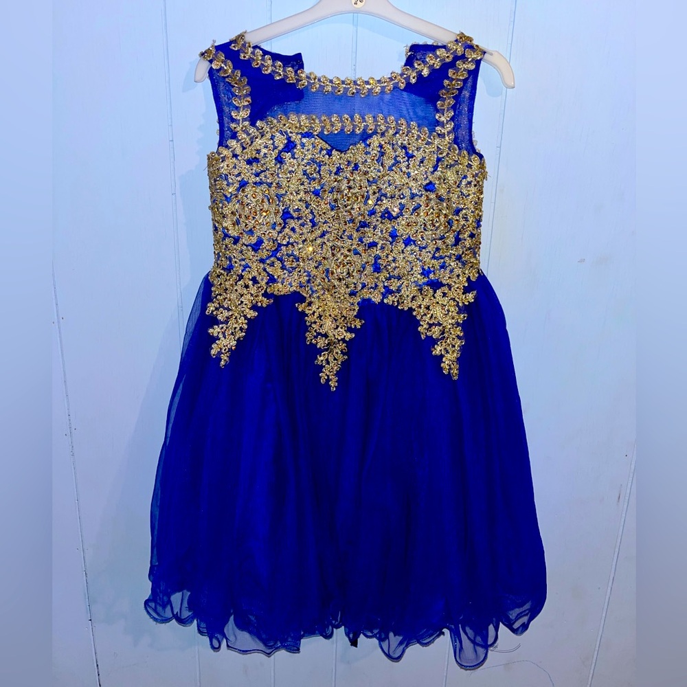 It’s a cinderella couture dress it’s Royal blue with gold detailing.